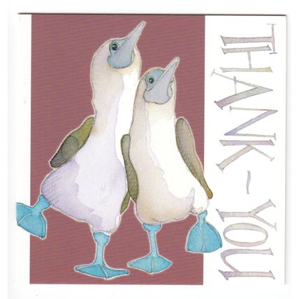 Thank You Birdies Notelets Pack of 10 Mini Blue Footed Boobies Puffin Notecards