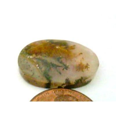 Golden Plume Agate Freeform Gemstone Cabochon 283