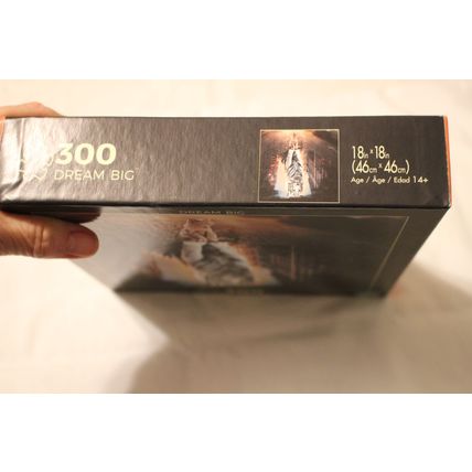 DREAM BIG 300 PIECE PUZZLE SEALED CATS TIGERS
