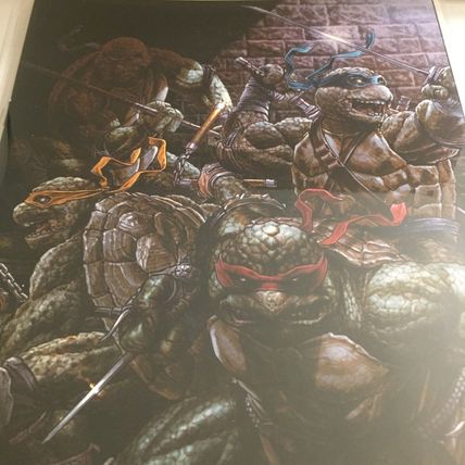 Teenage Mutant Ninja Turtles #84 Lee Bermejo Virgin Cover Comic