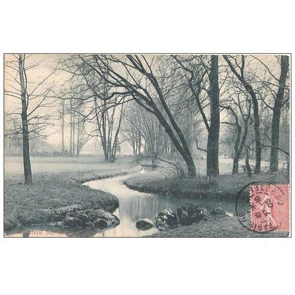 75 - Paris - BOIS DE BOULOGNE