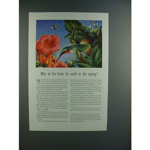 1944 Travelers Insurance Ad, Ruby-Throated Hummingbird