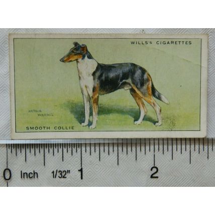 1937 Wills Dogs No. 10 Smooth Collie