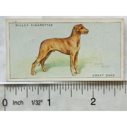 1937 Wills Dogs No. 16 Great Dane