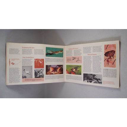 Brooke Bond Tea Card Album: 1976 Wonders of Wildlife, With All Cards