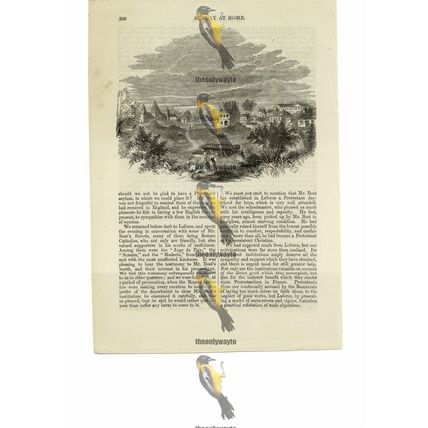 Laforce, France, Book Illustration (Print), 1856