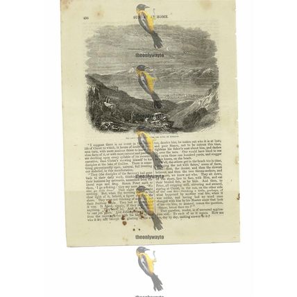 Tiberias On Lake Of Galilee, Israel, Biblical Image, Book Illustration, 1856