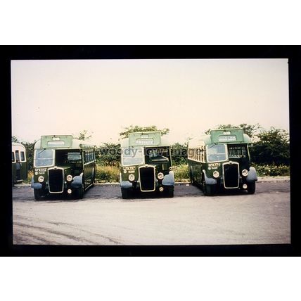 tm7525 - Vintage Crosville Buses - Reg.No.LFM 787 & KFM 892 & 774 photograph 6x4