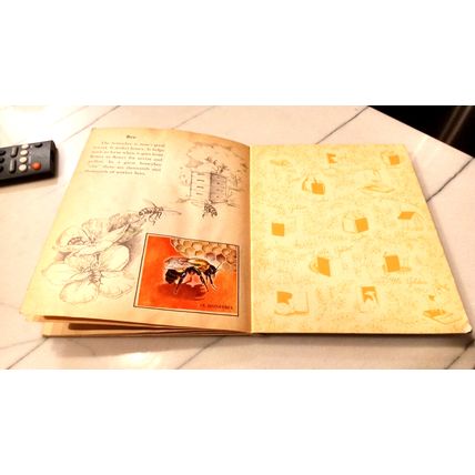 Old Vintage Little Golden Activity Book Insect Stamps (A) First Edition 1958