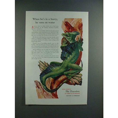 1952 Travelers Insurance Ad - Central American Basilisk