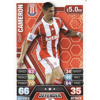 Match Attax 2013/2014 255 Geoff Cameron Stoke City