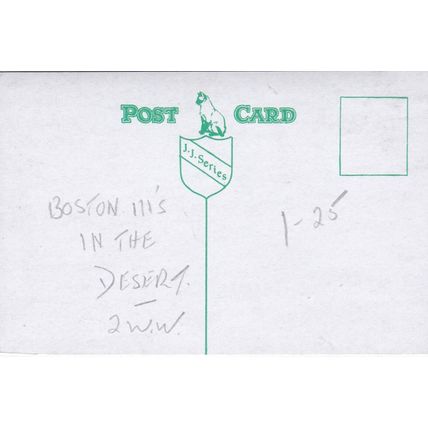 Douglas Boston 111 Bombers Desert WW 2 Reproduction Postcard unused VGC