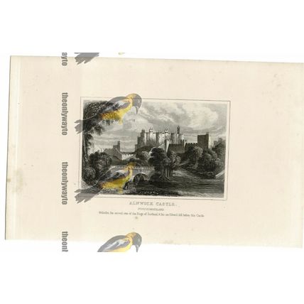Alnwick Castle, Northumberland, England, Book Illustration (Print), 1850