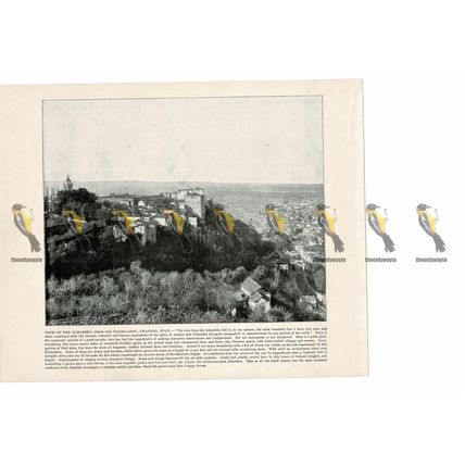 Alhambra, Panoramic View, Granada, Spain, Book Illustration (Print), 1899