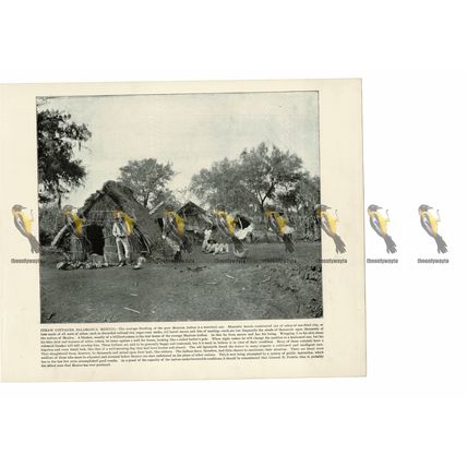 Straw Cottages, Salamanca, Mexico, Book Illustration (Print), 1899