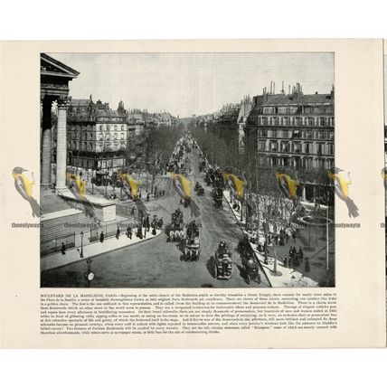 Boulevard De La Madeleine, Paris, France, Book Illustration (Print), 1899