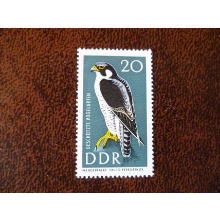 DDR East Germany 1967 Protected Birds Peregrine Falcon 20pf mint stamp SGE993