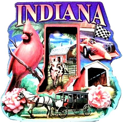 Indiana Montage Artwood Fridge Magnet