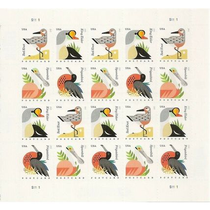 Coastal Birds Stamps Five Sheets (100 Stamps) Postcard - Stamps Scott 4994