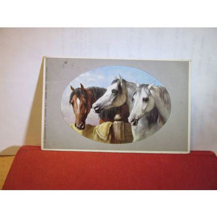 3 x HORSES HEADS used antique postcard by Faulkner =