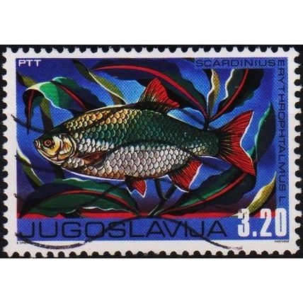 Yugoslavia 1976 3d20 S.G.1729 Used