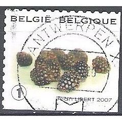 Belgique 2007 Michel 3747 O Cote (2008) 1.70 € Mûres Cachet rond