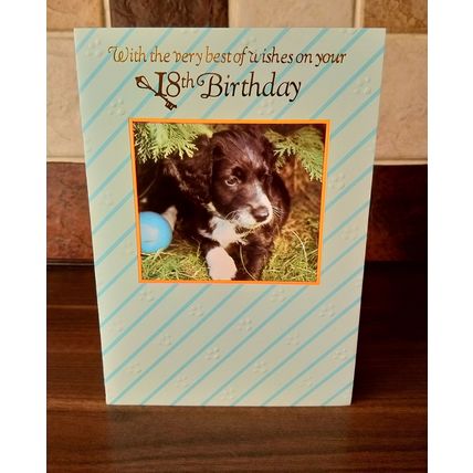 18th Birthday Card - Puppy Dog - 011