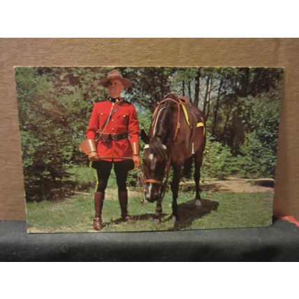 ROYAL CANADIAN MOUNTED POLICE with horse unused vintage postcard. =