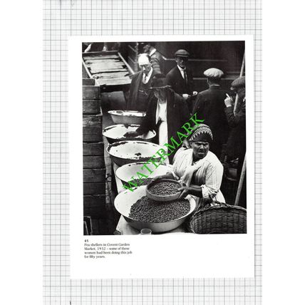 Covent Garden Market Pea Shellers - 1980s Cutting