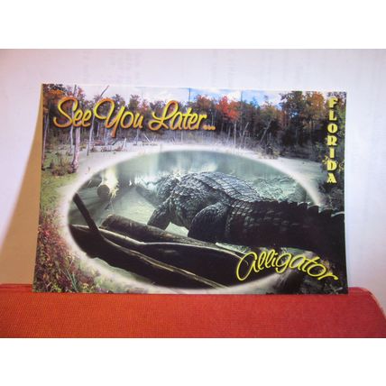 SEE YOU LATER, ALLIGATOR, FLORIDA, USA ..unused postcard #
