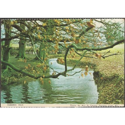 Hubberds Hills, Louth, Lincolnshire, c.1970s - Lindsey WI Postcard