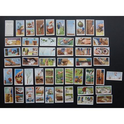 Cigarette trade Cards: Set Will's Garden Hints