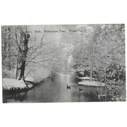 Orwell Park, Wilderness Pond, Winter, Ipswich, Suffolk, Postcard.