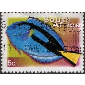 South Africa 5c Value. Palette Surgeon. Fine Used