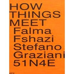 How Things Meet 51N4e Stefano Graziani Falma Fshazi