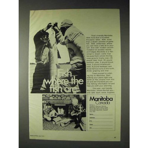 1973 Manitoba Canada Tourism Ad - Where the Fish Are