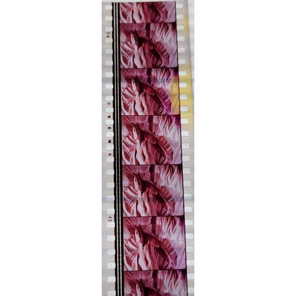 Pulp Fiction. Pk VXM - C058f. 1 STRIP OF 5 - 35MM FILM CELLS PK VXM