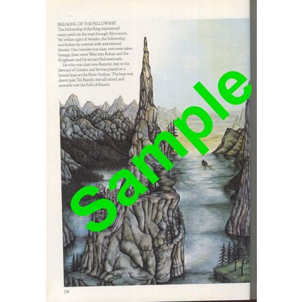A Tolkien Bestiary by David Day Paperback