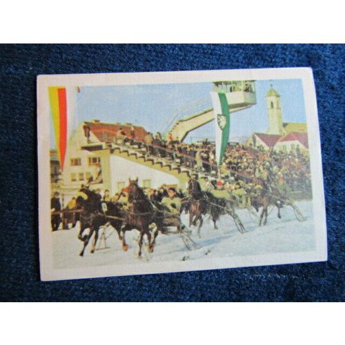 Unusual Sports 1968 ~ Jacques Chocolates Belgium Sports Sticker Variants (e9)