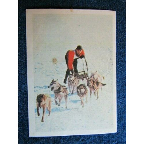 Unusual Sports 1968 ~ Jacques Chocolates Belgium Sports Sticker Variants (e9)