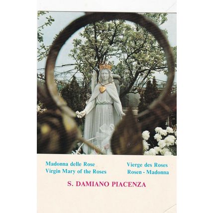 S Damiano Piacenza Madonna delle Rose Italy Postcard posted 1986 VGC