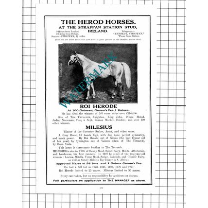 Straffan Station Stud Ireland ROI HERODE Horse Racehorse - 1927 Advert