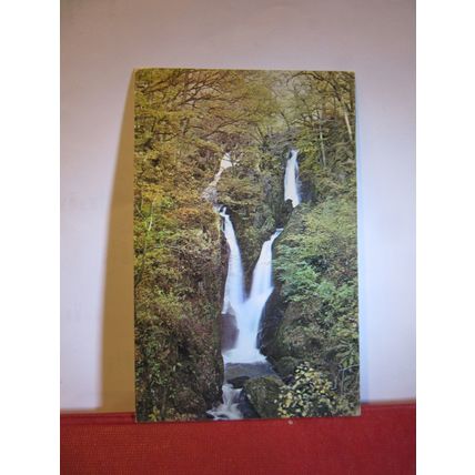 STOCK GHYLL FORCE, AMBLESIDE, LAKE DISTRICT unused postcard Sanderson & Dixon =