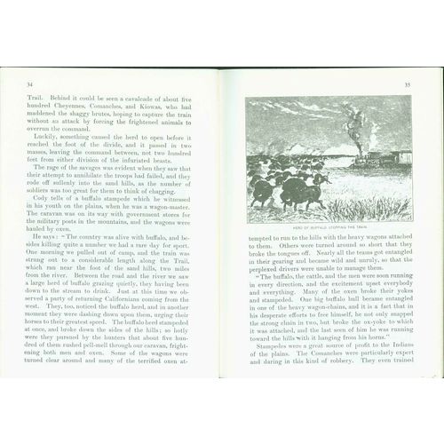The Buffalo: 1898. by Henry Inman & "Buffalo Bill" Cody..1-29 lots of 10 copies