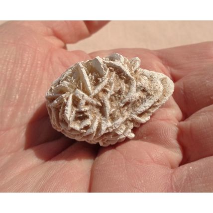 E Desert Rose Gypsum 1.625 Inch Raw Rough Stone Crystal Metaphysical