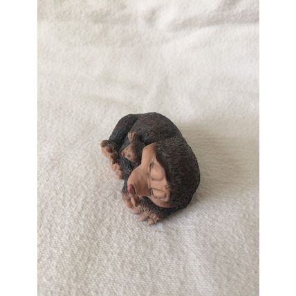 Molenniums Mole "I'M MOLE'NLY DREAMING" DI 04 Doverdale Designs Boxed