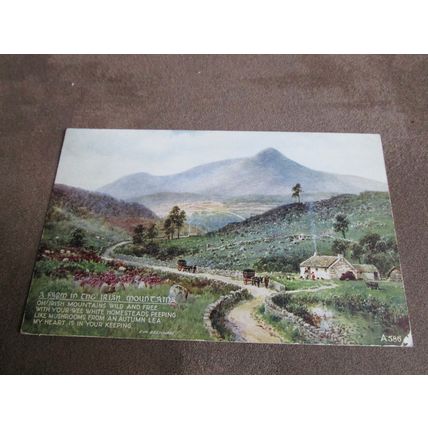 1950s Postcard - Farm in Irish Mountains / Eire - Artist A586