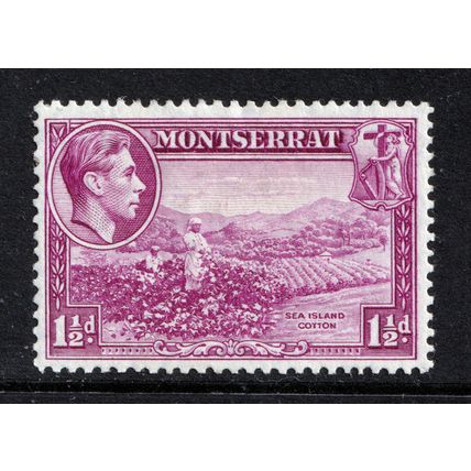 Montserrat KGVI 1938-48 1 1/2d Purple P13 SG103 Mint MH