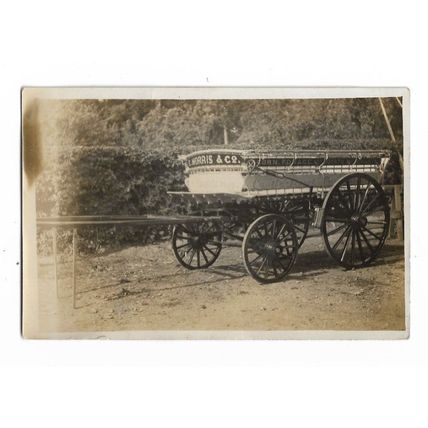 Morris & Co, Castle Street, Reading, Horse Cart, Berkshire, RP Postcard.