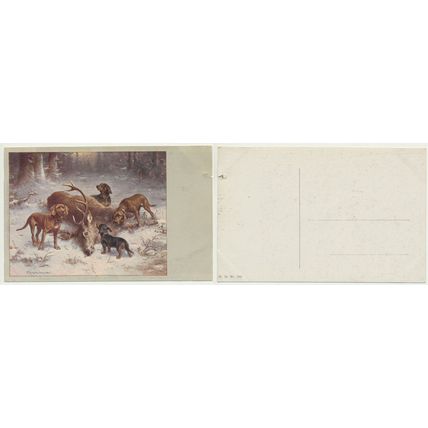 Hunting Dogs Art Painting Carl Reichert Postcard circa 1920s 2 off